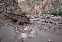 Severe rainfall triggered major flooding in the Bright Angel Canyon and Phantom Ranch areas of the Grand Canyon.