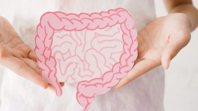 A metabolite produced by certain gut bacteria, known as imidazole propionate, may accelerate brain changes associated with Alzheimer’s disease.