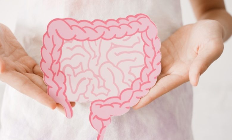 A metabolite produced by certain gut bacteria, known as imidazole propionate, may accelerate brain changes associated with Alzheimer’s disease.