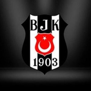 BJK proje takımı değildir