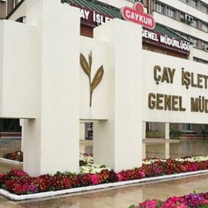 ÇAYKUR zararını üçe katladı! 657 milyon Türk Lirası!