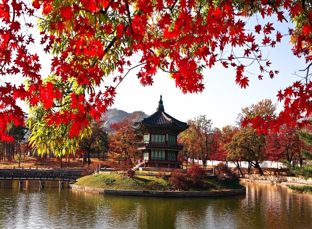 Güney Kore'de Sonbahar