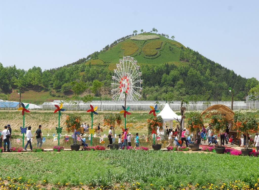 Hampyeong Kelebek Festivali