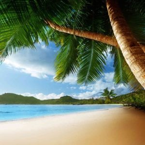 Tatil Cenneti Adalar: Mauritius, Seyşeller ve Maldivler