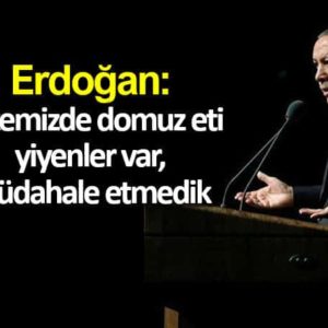 Erdoğan: Ülkemizde domuz eti yiyenler var, müdahale etmedik, etmeyiz