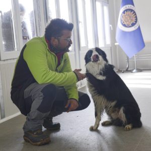 Ankara’da Kovid-19’u teşhis eden dedektör köpek yetiştirildi