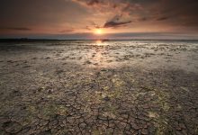 El Nino, ekonomide tsunami yaratacak