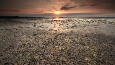 El Nino, ekonomide tsunami yaratacak