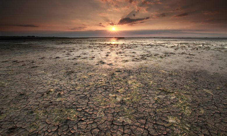 El Nino, ekonomide tsunami yaratacak 1 Büyük Okyanus’taki sıcaklıkların rekor seviyeye ulaşmasıyla başlayan şiddetli El Nino dalgası dünya ekonomisini olumsuz etkiliyor