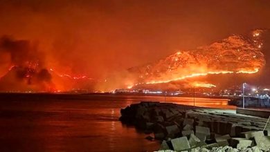İtalya’nın Sicilya Adası’nda farklı noktalarda çıkan orman yangınları geniş alanlara yayıldı.