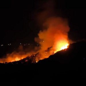 Yunanistan’da Yangın: Kefalonya’da Tahliye, Attika’da Evler Yandı