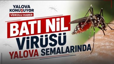 Yunanistan’da Batı Nil alarmı büyüyor! Uzmandan 2035 için çarpıcı uyarı