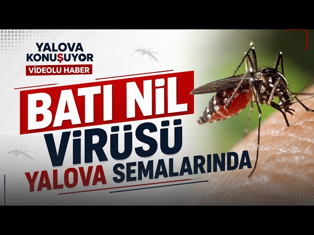 Yunanistan’da Batı Nil alarmı büyüyor! Uzmandan 2035 için çarpıcı uyarı
