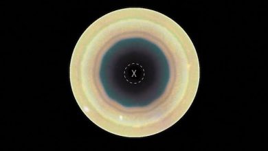 NASA’nın Hubble Uzay Teleskobu, Satürn’ün güney kutbu çevresinde dev bir 10 kenarlı atmosferik dalga tespit etti.