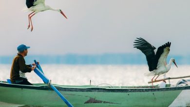 Sonbaharın yaklaşması ve hava sıcaklıklarının düşmeye başlamasıyla birlikte Yaren ve Nazlı, Afrika rotasındaki uzun yolculuklarına başladı