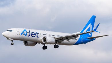 AJet uçağında yolcu, herkesi ısırdı!