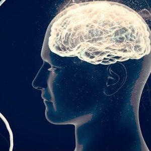 Alzheimer’da dikkat çeken bağırsak bağlantısı