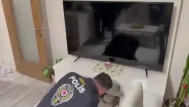 Canlı Bahislerde 7 Saniyelik Gecikme İddiası: 8 Şüpheli Gözaltında