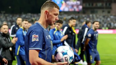 Edin Dzeko milli takıma veda etti
