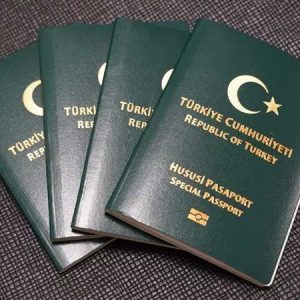 4 meslek grubu için yeşil pasaport teklifi Meclis’e sunuldu