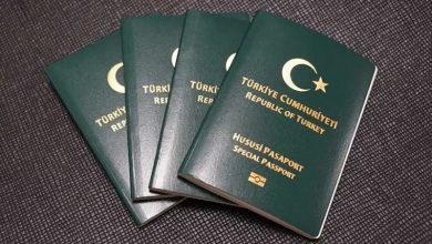 4 meslek grubu için yeşil pasaport teklifi Meclis’e sunuldu